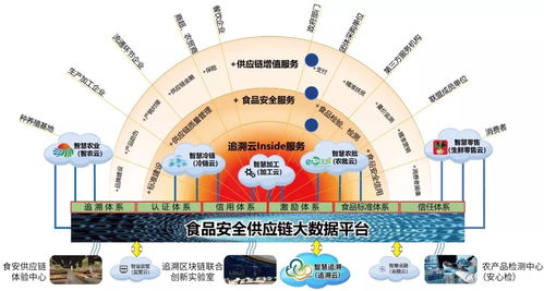 科技赋能保食安 网络信息技术开发助力盘锦乡村振兴